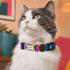 COMBO GATO - COLEIRA + LOCALIZADOR