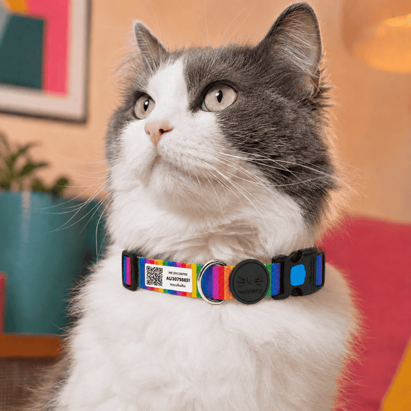 COMBO GATO - COLEIRA + LOCALIZADOR