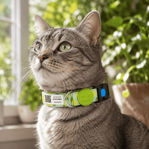 COMBO GATO - COLEIRA + LOCALIZADOR